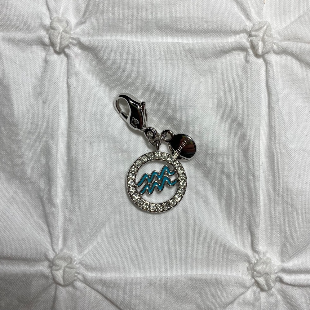 Swarovski Aquarius Charm